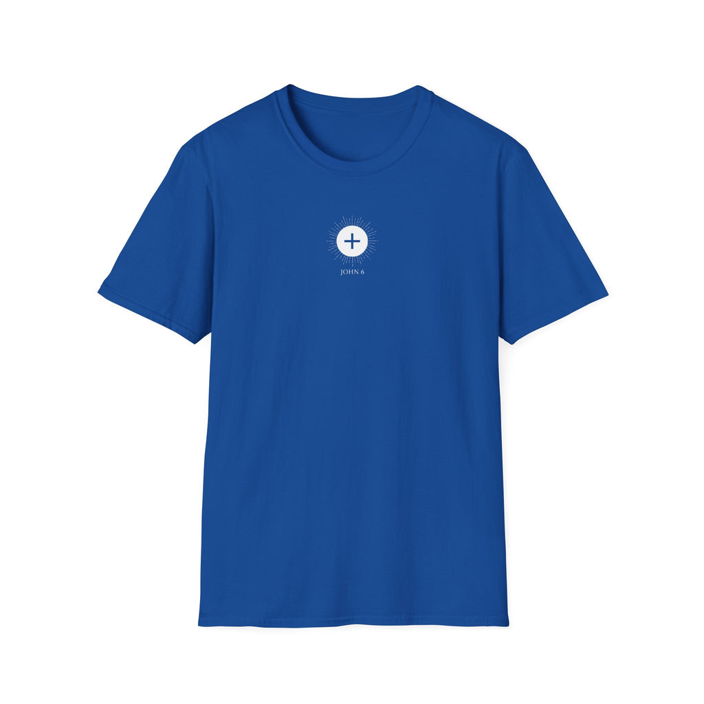 Body, Blood, Soul, & Divinity T-Shirt (Black, Royal, Red)
